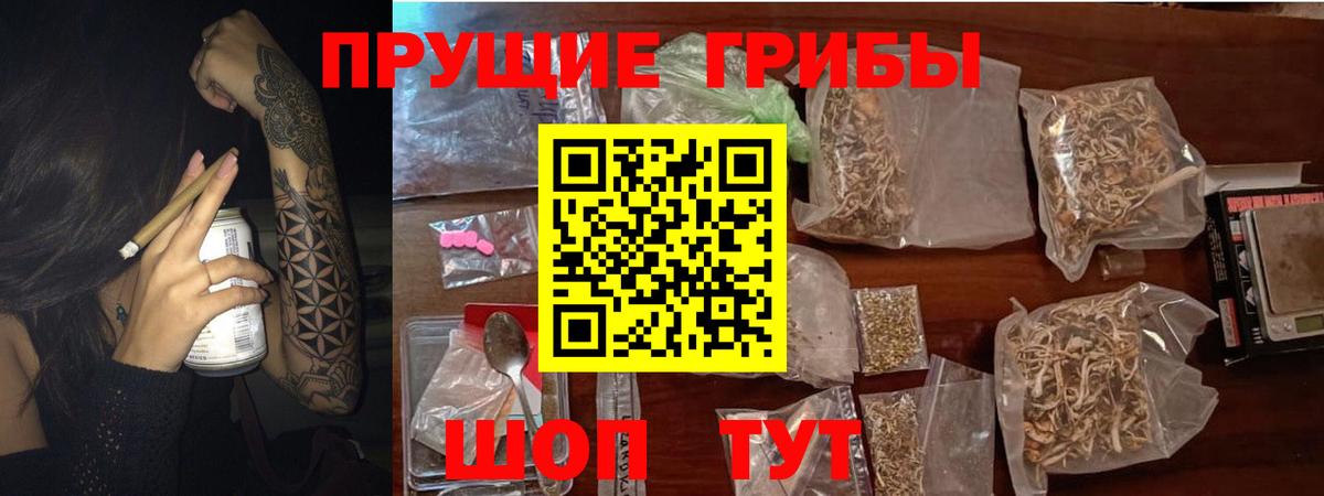Галлюциногенные грибы MAGIC MUSHROOMS  Галлюциногенные грибы Cubensis  Вход с VPN  Брянск 